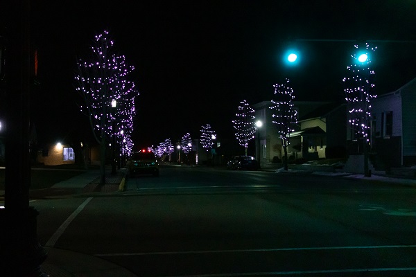 Trees lining a street at night decked out with Christmas lights